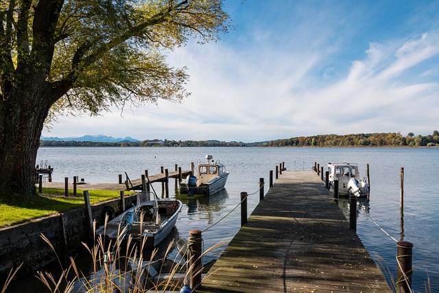 我们看到教 我们看到教