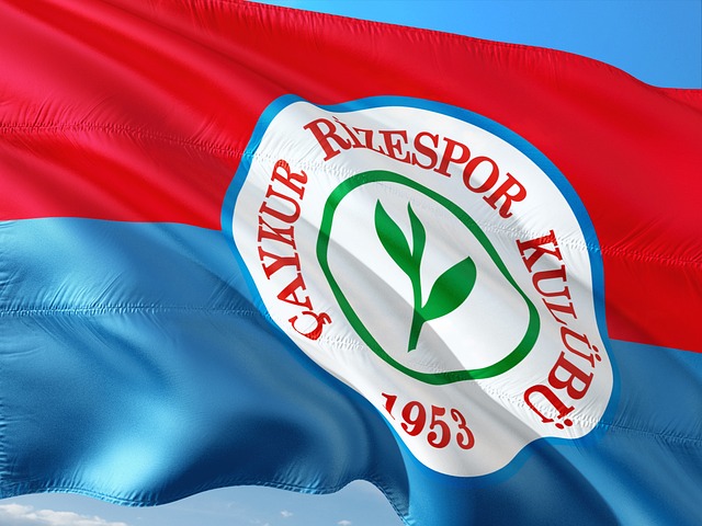 加的斯的足 加的斯的足