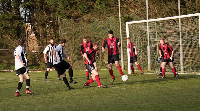 在叙利亚全 在叙利亚全