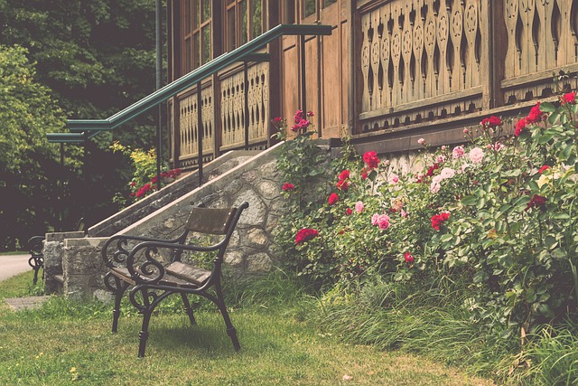 羅的離開 羅的離開