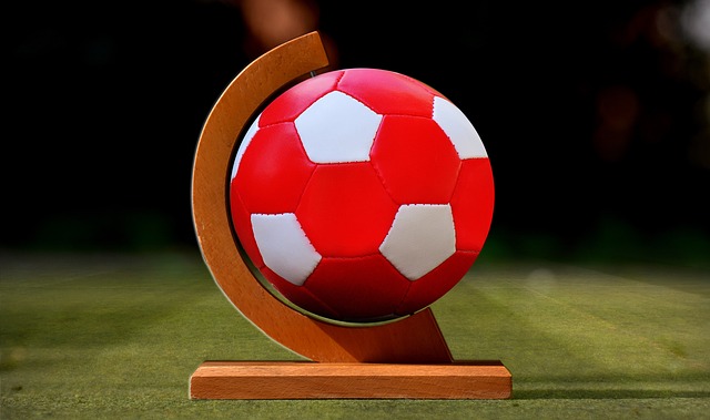 向更大的成 向更大的成