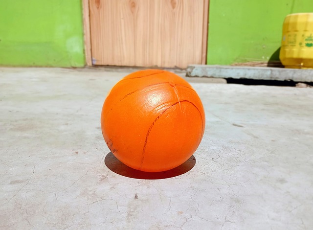 备受瞩目的 备受瞩目的