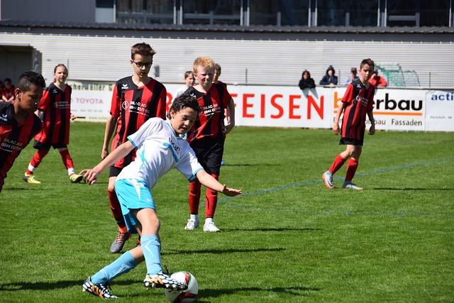 是勇士队教 是勇士队教