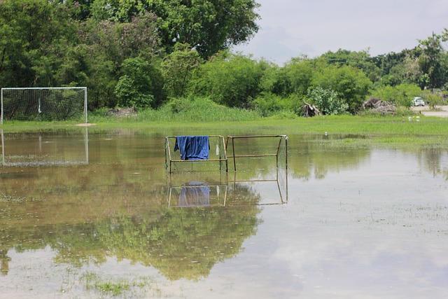 越来越多的 越来越多的